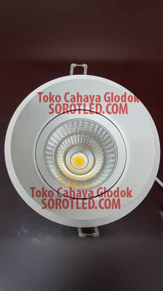 Lampu Downlight LED ASSA 565 25watt 3000K