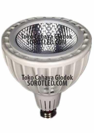 Lampu PAR30 20watt COB LED Epistar