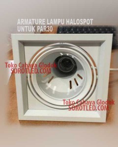 Halospot untuk Lampu PAR30 LED
