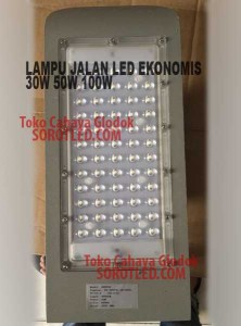 lampu jalan 30w