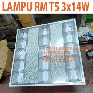lampu rm t5 3x14w